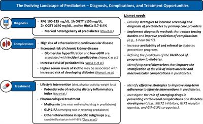 Editorial: Prediabetes: new insights on the diagnosis, risk stratification, comorbidites, cardiovascular disease, microvascular complications, and treatment